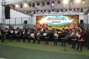 Daşkəsəndə Aqroturizm və Aqrar Biznes Festivalı keçirilib