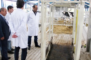 DÖVLƏT BAYTARLIQ NƏZARƏTİ XİDMƏTİ TƏRƏFİNDƏN REGİONLARDA FERMERLƏRLƏ GÖRÜŞLƏR KEÇİRİLİB