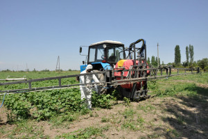 BƏRDƏ RAYONUNDA KİMYƏVİ DƏRMANLARDAN İSTİFADƏYƏ DAİR TƏLİM KEÇİRİLİB