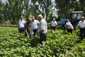 BƏRDƏ RAYONUNDA KİMYƏVİ DƏRMANLARDAN İSTİFADƏYƏ DAİR TƏLİM KEÇİRİLİB