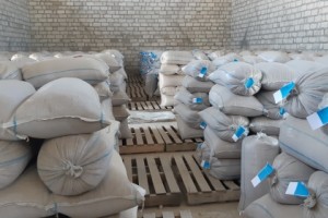 QUBA, QUSAR, XAÇMAZ, SİYƏZƏN VƏ ŞABRANDA 5509 TON TƏMİZLƏNMİŞ TOXUM QEYDİYYATA ALINIB