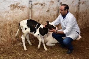 DÖVLƏT BAYTARLIQ XİDMƏTİNİN RƏİSİ SAMUXDA DABAQ XƏSTƏLİYİNƏ QARŞI TƏKRAR PROFİLAKTİK PEYVƏNDLƏMƏ İŞLƏRİ İLƏ TANIŞ OLUB