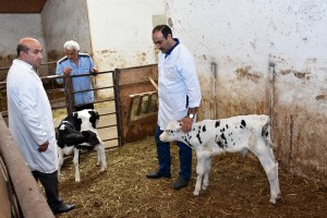 DÖVLƏT BAYTARLIQ XİDMƏTİNİN RƏİSİ SAMUXDA DABAQ XƏSTƏLİYİNƏ QARŞI TƏKRAR PROFİLAKTİK PEYVƏNDLƏMƏ İŞLƏRİ İLƏ TANIŞ OLUB