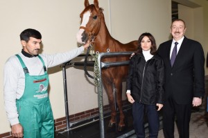 QARABAĞ ATÇILIQ KOMPLEKSİNİN AÇILIŞ MƏRASİMİ KEÇİRİLİB