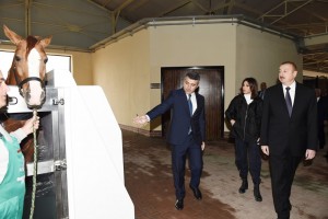 QARABAĞ ATÇILIQ KOMPLEKSİNİN AÇILIŞ MƏRASİMİ KEÇİRİLİB