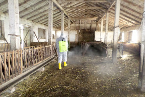 ŞƏKİ RAYONUNDA CARİ İLİN EPİZOOTİK TƏDBİRLƏRİ YEKUNLAŞIB VƏ NÖVBƏTİ İLƏ HAZIRLIQ GÖRÜLÜR
