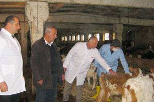 ASTARA RAYONUNDA EPİZOOTİYA ƏLEYHİNƏ PROFİLAKTİK TƏDBİRLƏR APARILIR