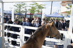 Ağdam rayonunda 100-cü Yubiley Aqrar Biznes Festivalı keçirilib