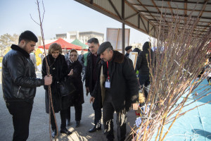 Yevlaxda Aqrar Biznes Festivalı və kredit yarmarkası keçirilib
