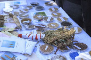 İnnovasiya festivalının növbəti təqdimatı keçirilib