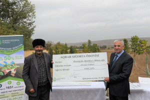 Aqrar Sığorta Fondu fermerlərə sığorta ödənişlərini davam etdirir
