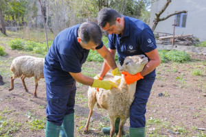 İşğaldan azad olunmuş ərazilərdə sahə görüşləri davam etdirilir