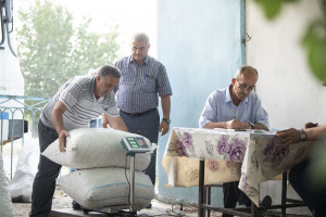 Bu günədək tədarük məntəqələrinə 157 ton yaş barama təhvil verilib