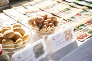 Yevlaxda Aqrar Biznes Festivalı və kredit yarmarkası keçirilib