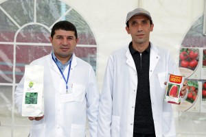 Azərbaycanda ilk dəfə “Respublika toxum sərgi-satış” yarmarkası keçirilib