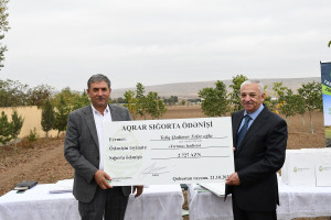 Aqrar Sığorta Fondu fermerlərə sığorta ödənişlərini davam etdirir