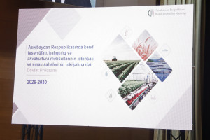 Ağdaşda aqrar sahədə yeni Dövlət Proqramının müzakirəsi ilə bağlı regional müşavirə keçirilib