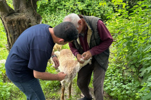 İşğaldan azad olunmuş ərazilərdə məskunlaşan sakinlərlə sahə görüşləri davam etdirilir