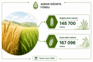 Azərbaycanda sığortalanan əkin sahələri 341 min hektarı keçib