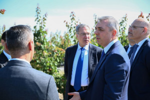 Ağdərənin Çaylı kəndində “Frutti Aqro” MMC tərəfindən salınmış intensiv meyvə bağına baxış keçirilib