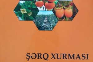 Fındıq və Şərq xurması bitkiləri haqqında yeni kitablar nəşr olunub
