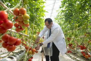 Field trips to innovative farms organized within the framework of the “Caspian Agro Week” exhibition