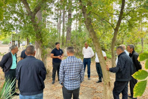 Dövlət Proqramının icrası çərçivəsində aqrar sahədə insan kapitalının inkişafına yönəlmiş tədbirlər davam etdirilir