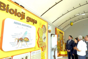 “Şəhərdən Kəndə” layihəsi çərçivəsində Lənkəranda Arıçılıq Muzeyinin açılışı olub