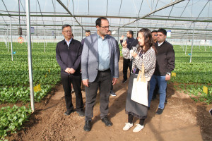 Çində orqanik istehsal və “ağıllı” istixana texnologiyaları öyrənilib