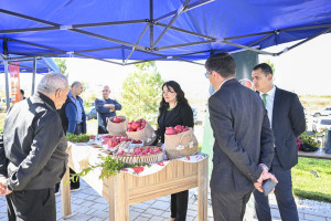 Ağdam rayonunda 100-cü Yubiley Aqrar Biznes Festivalı keçirilib