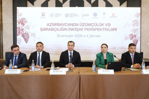 Şamaxıda “Üzümçülük və şərabçılığın inkişaf perspektivləri” mövzusunda konfrans keçirilib