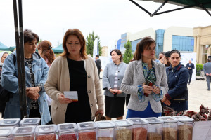 Saatlıda Aqrar Biznes və “Pambıq” festivalları keçirilib