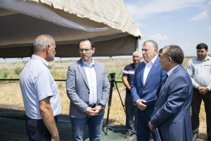 Nazir Məcnun Məmmədov Sabirabadda taxıl biçinində iştirak edib, fermerlərlə görüşüb