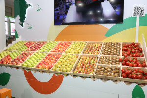 Prezident köməkçiləri Şahmar Mövsümov və Xalid Əhədov “Caspian Agro 2026” və “InterFood Azerbaijan” sərgiləri ilə tanış olublar