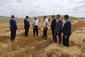 Kənd Təsərrüfatı Nazirliyinin Aparat rəhbəri Azad Cəfərli Göygöldə vətəndaşlarla görüşüb, təsərrüfatlara baş çəkib