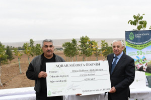 Aqrar Sığorta Fondu fermerlərə sığorta ödənişlərini davam etdirir