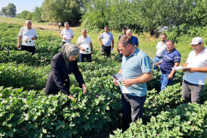 Dövlət Proqramının prioritet istiqamətləri üzrə fermerlərin maarifləndirilməsi davam etdirilir