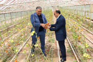 AKİA sədri Yalçın Camalov Naxçıvanda vətəndaşları qəbul edib, təsərrüfatlara baş çəkib