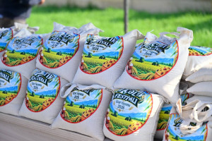 Ucarda “Aqrar Biznes” və “I Çəltik” festivalı keçirilib