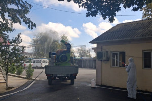 Xaçmazda qəhvəyi mərmər bağacığının qışlama dövrü ilə əlaqədar kompleks mübarizə tədbirləri həyata keçirilir