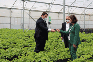 “Azərbaycanda sağlam toxumluq kartof istehsalı üzrə milli sistemin yaradılması” layihəsi davam etdirilir