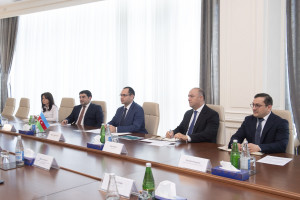 Nazir Məcnun Məmmədov Macarıstanın Azərbaycandakı səfiri və TDT-nin Budapeştdəki Nümayəndəliyinin icraçı direktoru ilə görüşüb