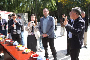 Çində orqanik istehsal və “ağıllı” istixana texnologiyaları öyrənilib