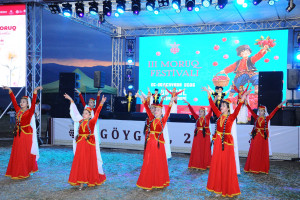 Göygöl rayonunda III Moruq və Aqrar Biznes Festivalları keçirilib