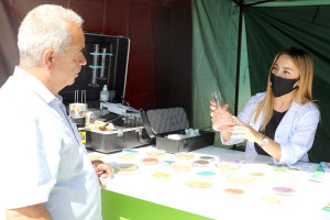 Bu gündən respublika toxum sərgi-satış yarmarkasına start verilib