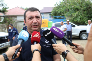 ​Lənkəranda Amerika ağ kəpənəyinə qarşı kimyəvi mübarizə tədbirləri intensivləşdirilir