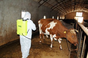 Qobustanda Aqrar Xidmətlər Agentliyi fermerlərin iştirakı ilə təlimləri davam etdirir