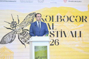 Kəlbəcərdə Bal Festivalı keçirilib