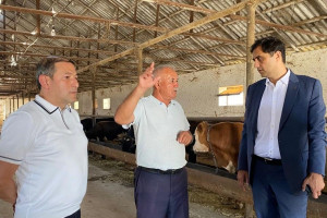 Aqrar Sığorta Fondunun İdarə Heyətinin sədri Fuad Sadıqov Xızıda vətəndaşlarla görüşüb, təsərrüfatlara baş çəkib