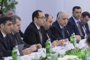Tovuzda “Qəhvəyi mərmər bağacığına qarşı birgə mübarizə” mövzusunda regional müşavirə keçirilib